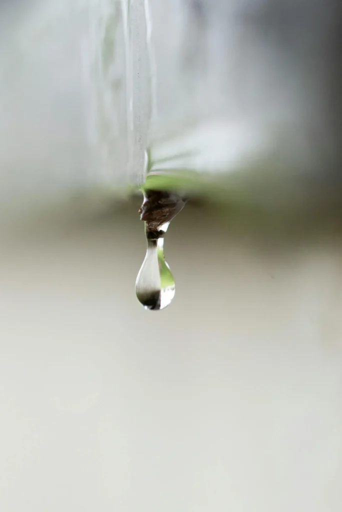 Leak Detection Houston TX USA Services