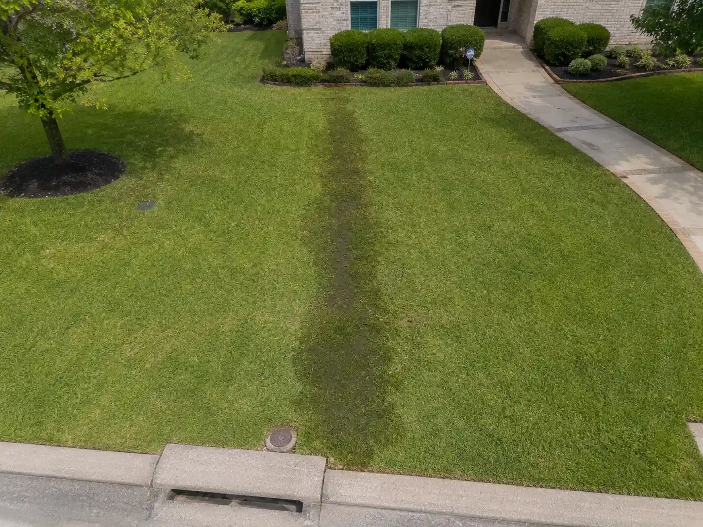 Overhead view of a Sugar Land front yard with a subtle damp grass strip indicating a possible underground water leak.