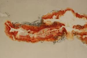 How Much Does Slab Leak Detection Cost in Houston